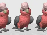Galah-7