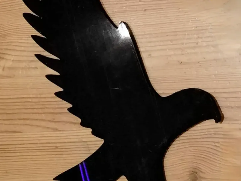 anti pájaro silueta pájaro espanta halcón