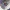 dyson_v10_Soft roller cleaner head_2E_T113476