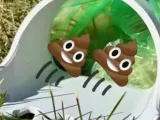 pooper scooper-0