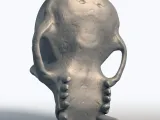 Monkey Skull 3D Model - Primate Anatomy Sculpture-8