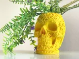 RELIC CALAVERA-5