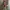 3D Advent Bolivia | Day 16 Singani