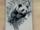 Cute cuddly Panda-0