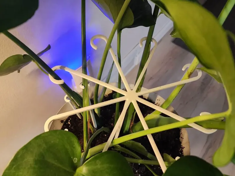 Plant branch support