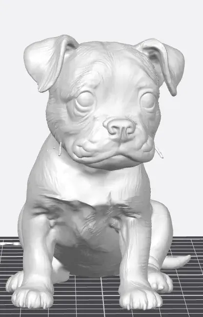 Nala (English Staffordshire Terrier puppy)