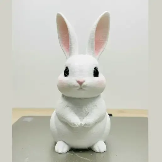 Hase