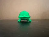 Tortoise-1