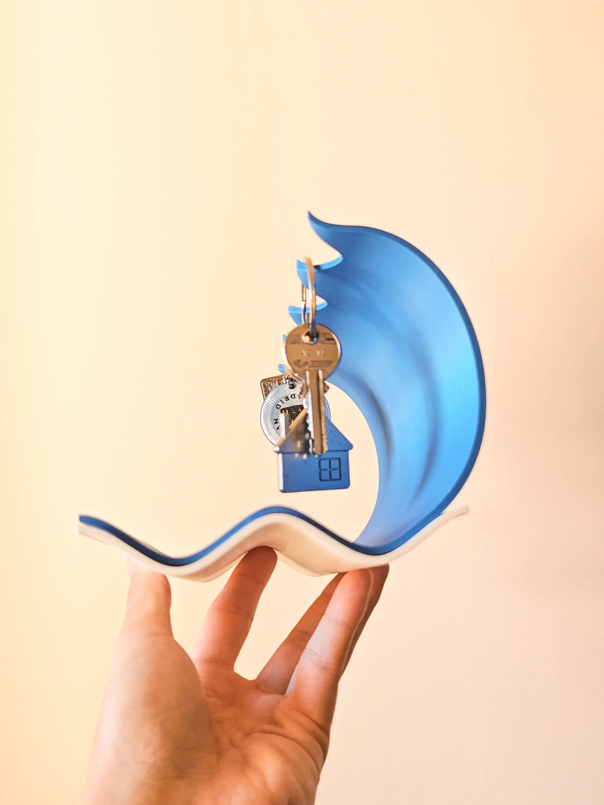 Model cover image