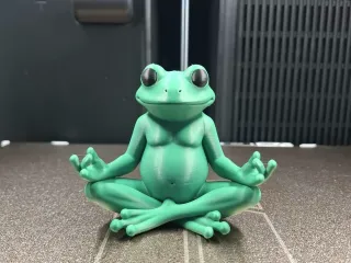 Zen Frog