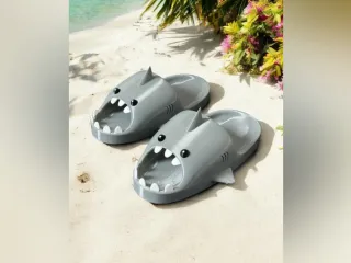Mad shark slide