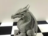 Vigilant dragon-4