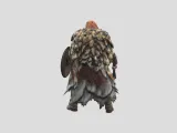 Viking Warrior-3