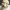 Ghost of Yotei: The Snake Mask