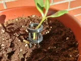 PLANT SUPPORT.-2