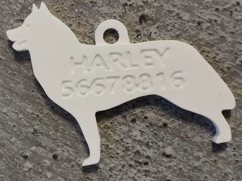 Siberian Husky nametag