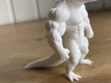muscle crocodile-4