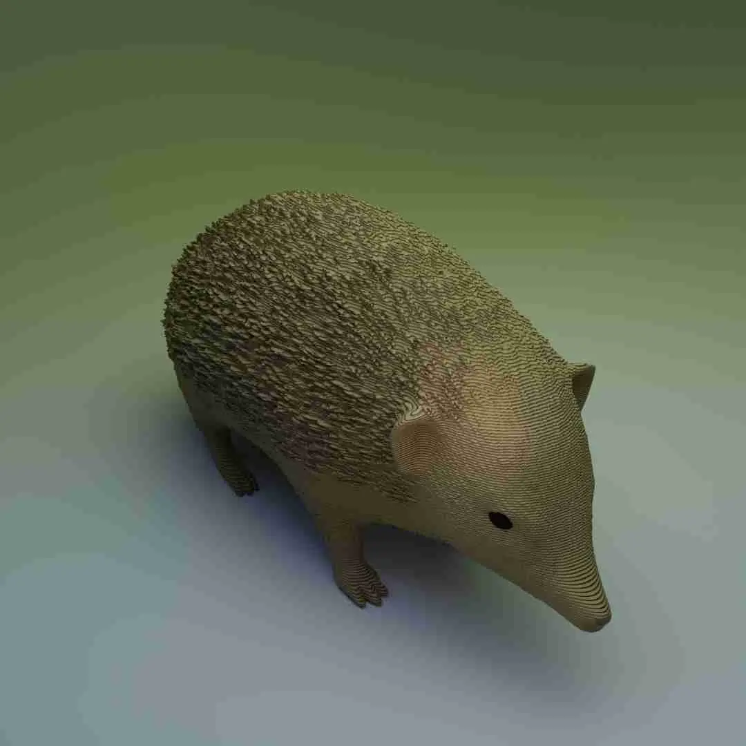 Hedgehog