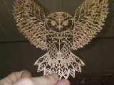 Owl Picture-2