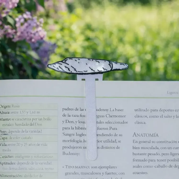 Joint Bookmark