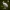 Crane statue - Stork decor - 3D print