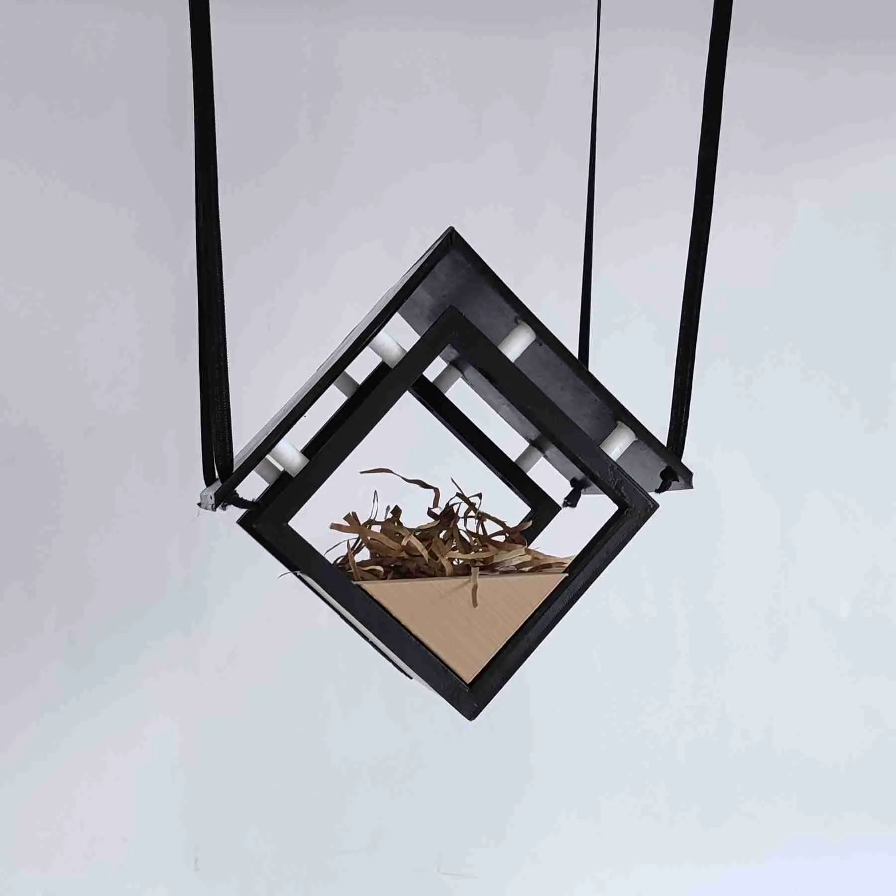 Bird House