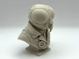 Steampunk Fly Bust-4