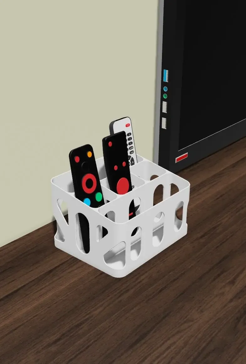Remote Organizer- Remote holder