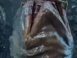 Facehugger-0