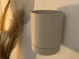 Terra Air-2