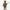 Hunter chien de chasse chasseur 