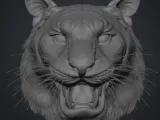 Kaplan Yüzü - Tiger Face-0