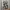 Hueforge The last of us