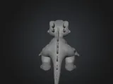 Dinosaur-2