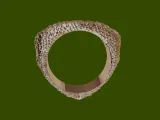 Crocodile Skin Ring-4