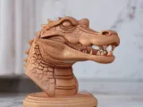 Crocodile-0