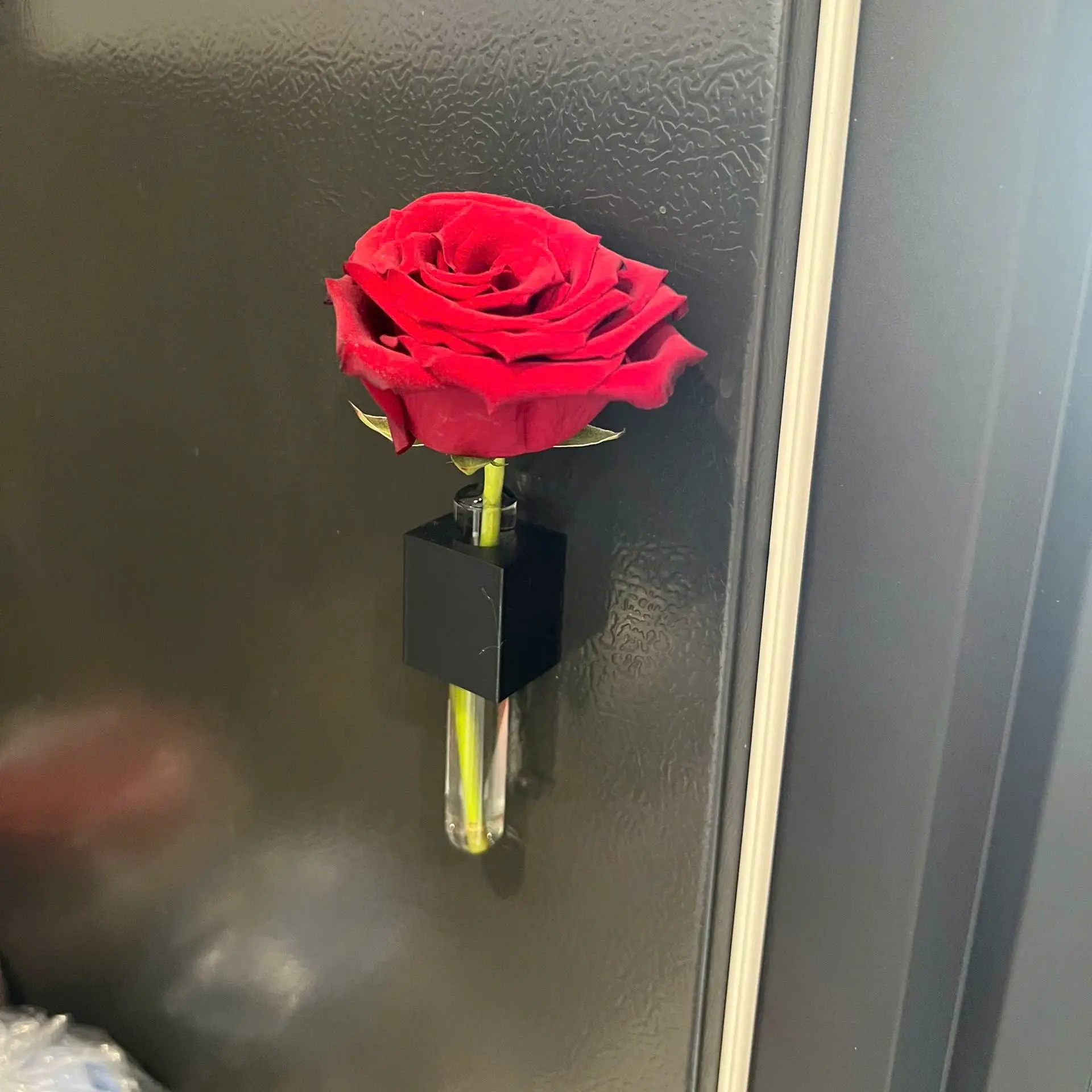 Test tube flower vase - Bình hoa ống nghiệm gắn từ