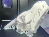 Charizard Skull-1