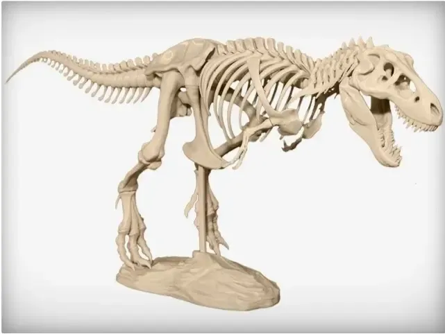 Squelette de tyrannosaure
