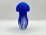 Jellyfish-2