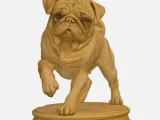 Pug-3