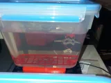 Magnetic stirrer to cleanig resin prints-4