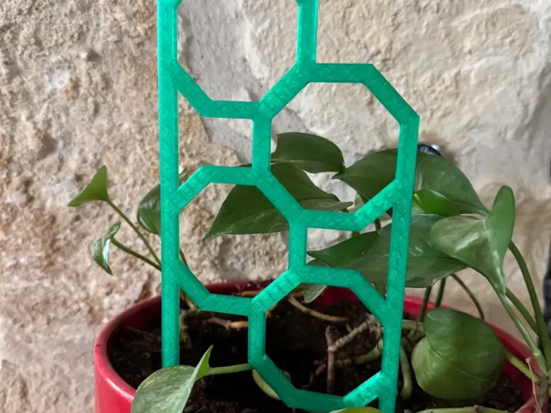 plant lattice