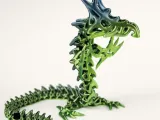 Dragon-5