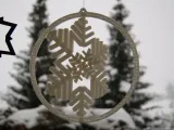 Gimbal Snowflake-0