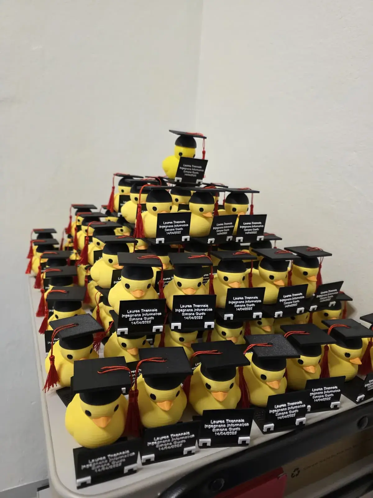 Graduation Duck with Computer