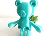 Pequeño Oso Flexi-7