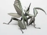 MANTIS-2