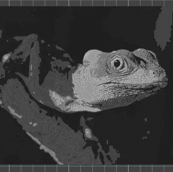 gekko 3D-Picture - Print You Photo. Slicer Preview