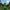 Creeper - Mini Figure - Minecraft (Set 1)